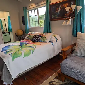 Luxury Apartment