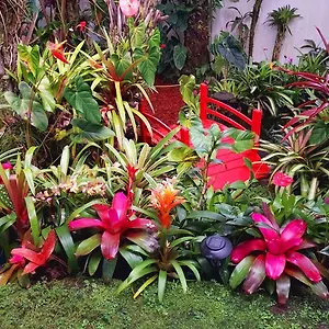 Séjour chez l'habitant Paradise At Anthurium Hale, Hilo