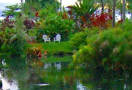 At The Beach With Friends Bed And Breakfast Hilo United States