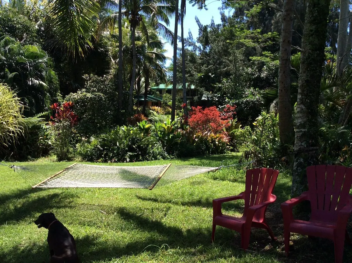 Bed & Breakfast At The Beach With Friends Bed And Breakfast Hilo United States