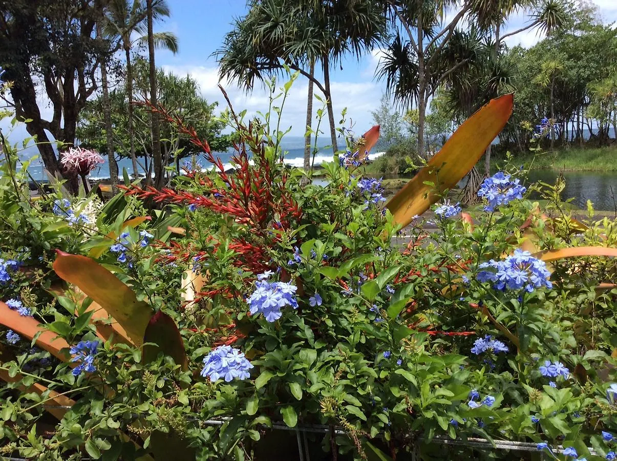 At The Beach With Friends Bed And Breakfast Hilo