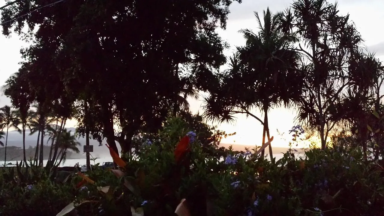 Bed & Breakfast At The Beach With Friends Bed And Breakfast Hilo